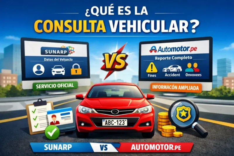 ¿que es la consulta vehicular?