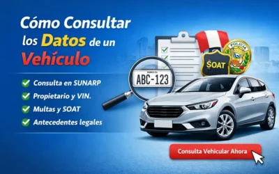 Cómo consultar los datos de un vehículo